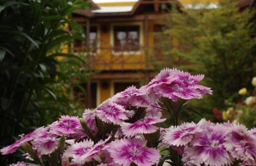 El Calafate Hotel | Kau Kaleshen