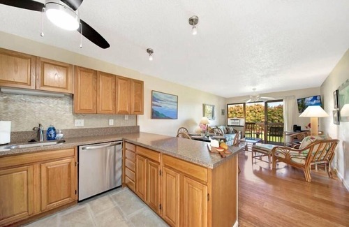 Nawiliwili Condominio | Kauai Banyan Harbor B24 2 Bedroom Condo