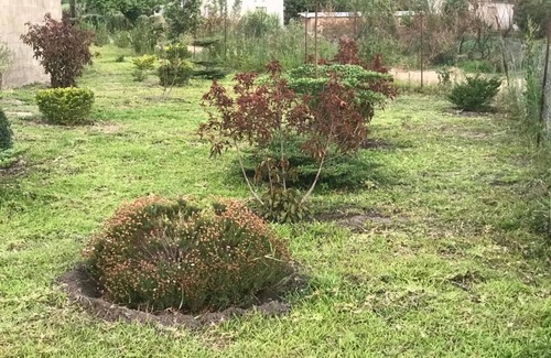 Choma Cabina | Kavango Dachils Lodges Ext2
