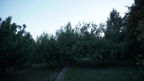 Palaio Tsifliki Casa | KAVET Palio Cottage