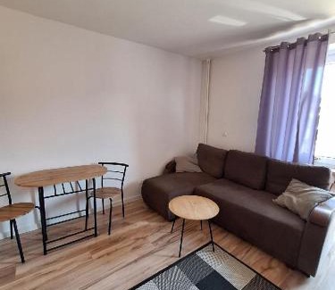 Osiedle Grunwaldzkie Apartamento | Kawalerka z widokiem na zamek