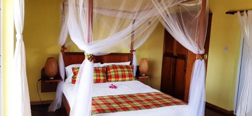 Choiseul Casa | Kaye Mango