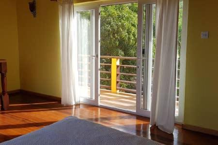 Choiseul Casa | Kaye Mango