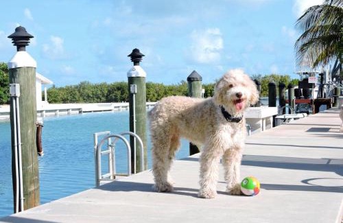 Key Colony Beach Casa | KCB Beach House