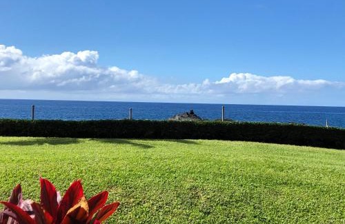 Kahaluu Bay Casa | Keauhou Kona Surf & Racquet Club 2103