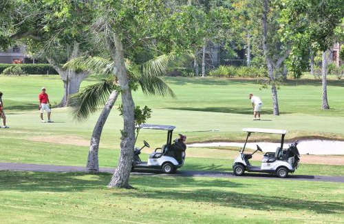Keauhou Apartamento | Keauhou Palena - 2nd floor unit overlooking the golf course KP604