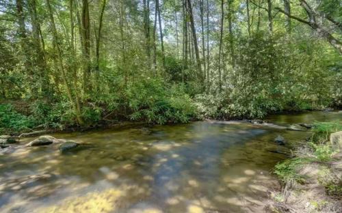 Ellijay Casa | Keepin it Reel