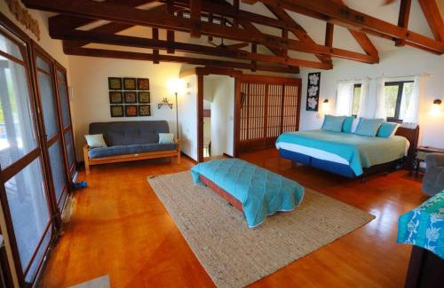 Kehena Beach Estates Casa | kehena black sand beach house - ocean view swim spa