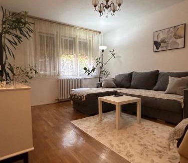 Gornji Milanovac Apartamento | Keližual