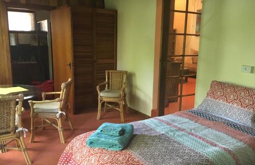 Old Reynella Casa | Kentia Palms