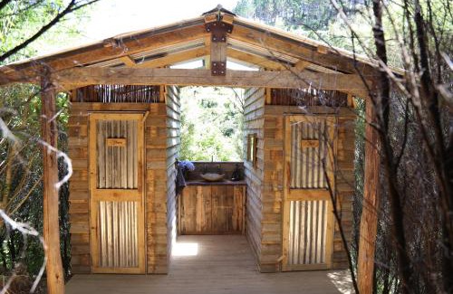 Waihi Otro | Kereru site