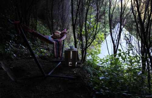 Waihi Otro | Kereru site