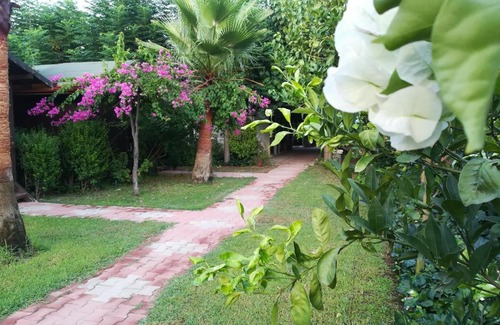 Cirali Casa | Kervan Pansiyon