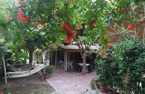 Cirali Casa | Kervan Pansiyon