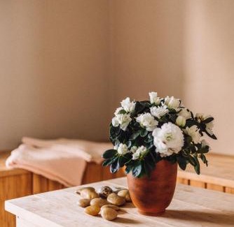 Kuressaare Casa | Kevade Guesthouse with Sauna