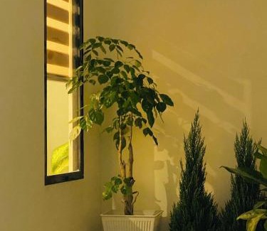 Ninh Kieu Hotel | Khế Homestay