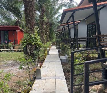 Khlong Sok Complejo | Khao Sok Residence Resort