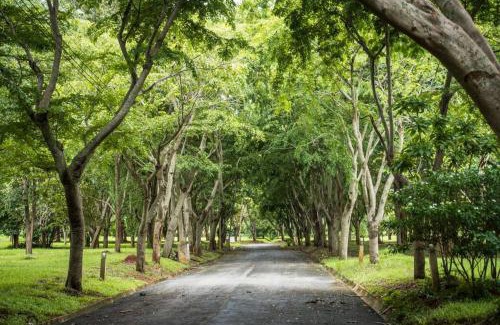 Nong Nam Daeng Casa | Khao Yai Log House