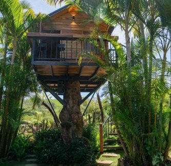 Bao Loc Casa | Khu Nghỉ Dưỡng Ngôi Làng Trong Tranh, Bảo Lộc