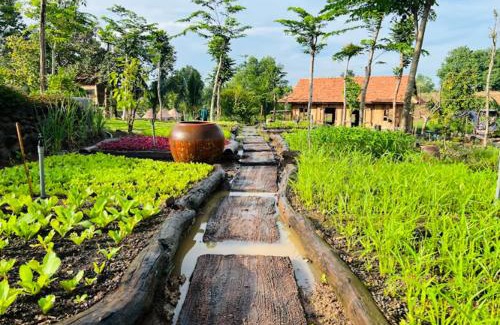 Chau Duc Otro | Khu Nghỉ dưỡng Sinh thái Nhà Lụa Retreat