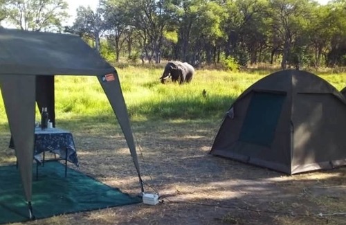 Khwai Otro | Khwai Mokoro Safaris and Campsites