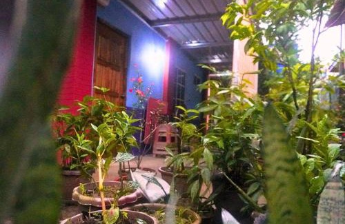 Kota Kinabalu Casa | Kiansom Homestay - Waterfall etc