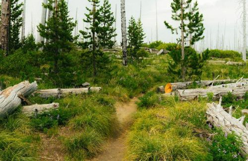 La Pine Casa | Kicking it Real Log Cabin