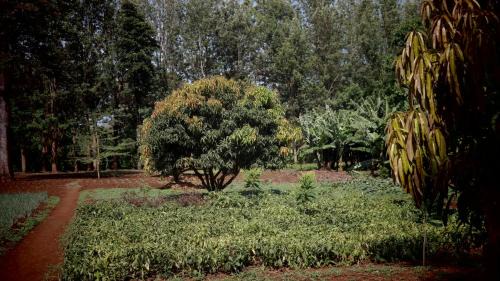 Moshi Cabina | KILEMAKYARO Mt LODGE