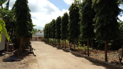 Weru Weru Casa | Kilimanjaro Country House
