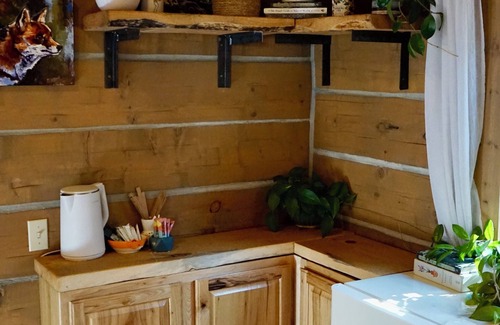 Bigfork Cabina | Kimbey's log Cabin Flathead Lake Beach Pets yes!
