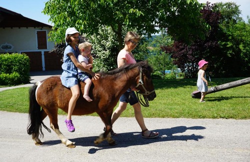 Steinbach an der Steyr Casa | Kinderbauernhof Salmanner