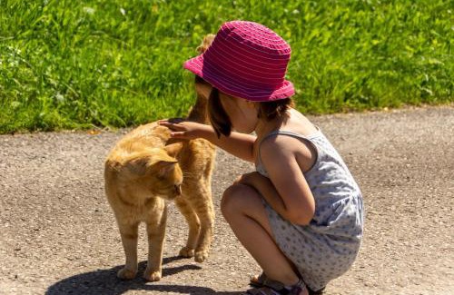 Steinbach an der Steyr Casa | Kinderbauernhof Salmanner
