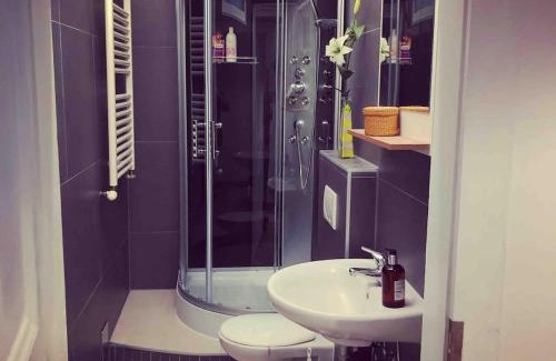 Himmelpfortgrund Apartamento | King bed free parking fast wifi pet friendly