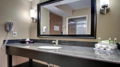 Jackson Apartamento | King Bed Hotel Room 258