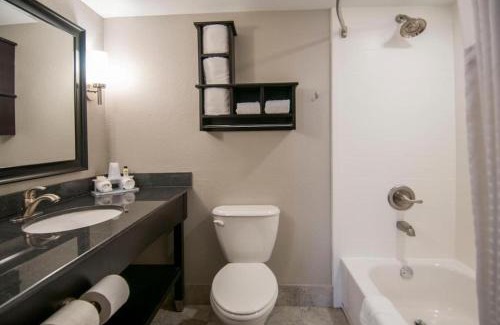 Jackson Apartamento | King Bed Hotel Room 258