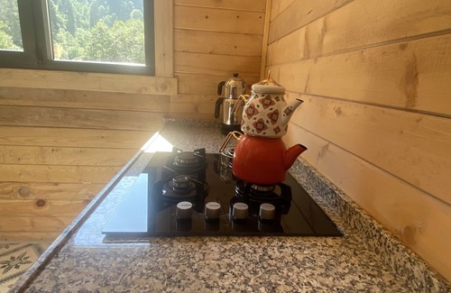 Ayder Yaylasi Cabina | King Cabins