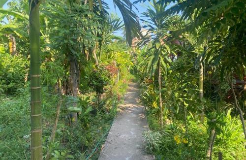Don Det Casa | King Kong Restaurant and Bungalows