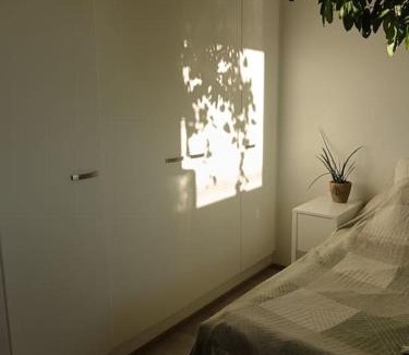 Lantinen District Apartamento | King's Oak Jungle