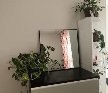 Lantinen District Apartamento | King's Oak Jungle
