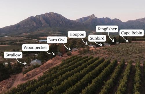 Tulbagh Apartamento | Kingfisher Cabin at Vrolikheid Landgoed