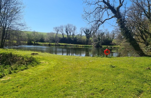 Whitland Cabaña | MARTÍN COTTAGE, pet friendly, con piscina en Llanboidy, Ref 924587