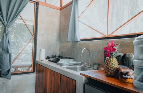 Bahía Drake Cabina | Kinkajoungalows