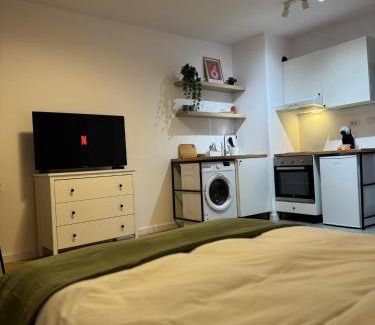 Kiseleff Apartamento | Kiseleff Park Studio - Piata Victoriei