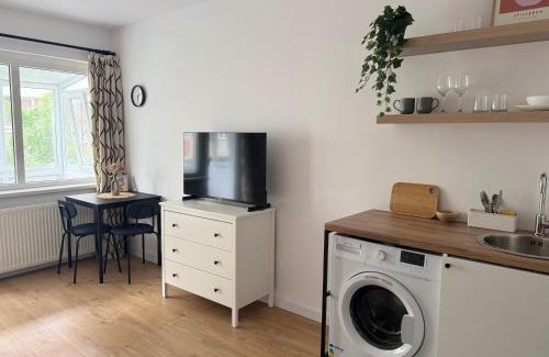 Kiseleff Apartamento | Kiseleff Park Studio - Piata Victoriei