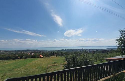 Csopak Apartamento | Kisház a hegyen