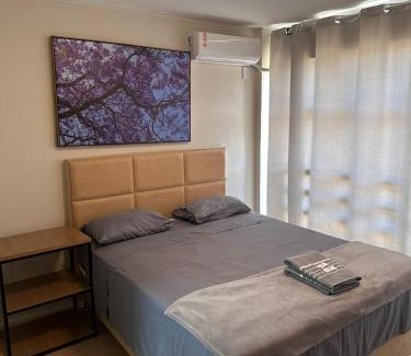 Sudoeste e Octogonal Apartamento | Kit Ipê Roxo
