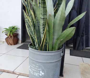 Maringa Apartamento | Kit Net 5 azul cama casal