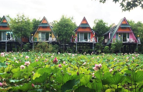 Dongshan Chalet De Esquí | Kitefarm