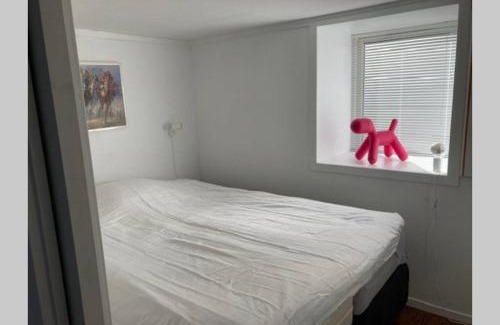 Bergenhus Apartamento | Kjellerleilighet - nært Haukeland sykehus.