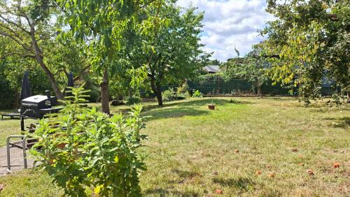 Tocna Casa | Klasický dům, 5 ložnic , 5 bedrooms, Praha